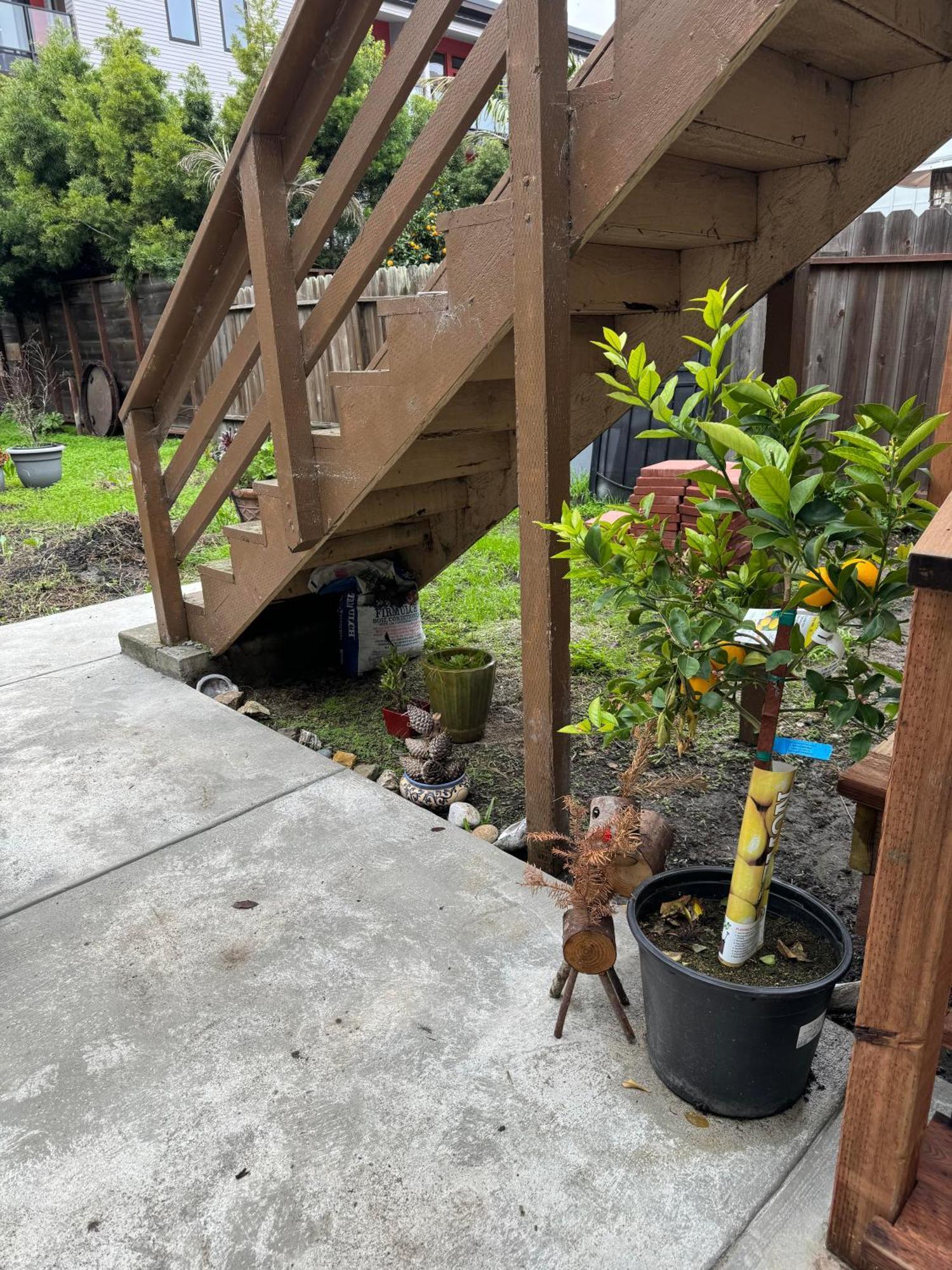 Bumblebee House Oakland