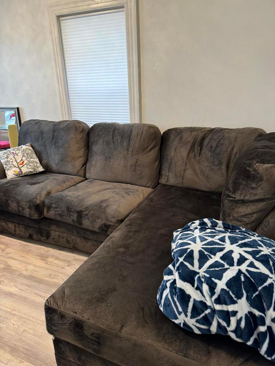 Bumblebee House Apartment